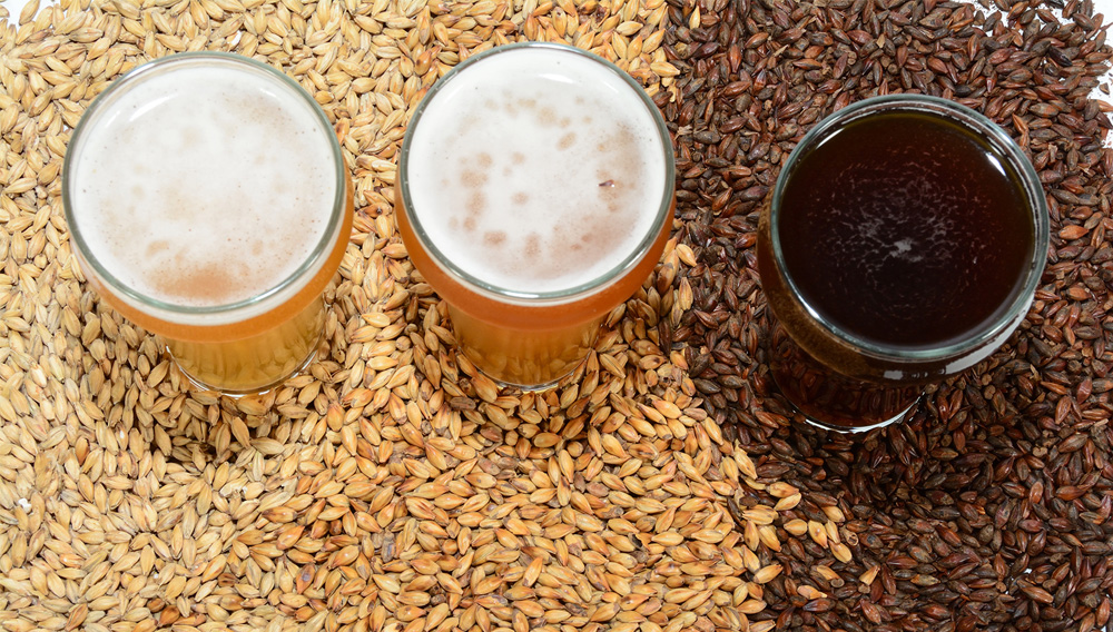 Three craft beers on a surface of grains: An increasing demand for craft beers in retail requires new methods for powder and bulk handling