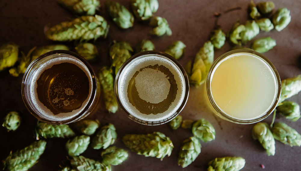 Three beer glasses on a table, surrounded by hop cones, and seen from above (Photo: Missy Fant on Unsplash)