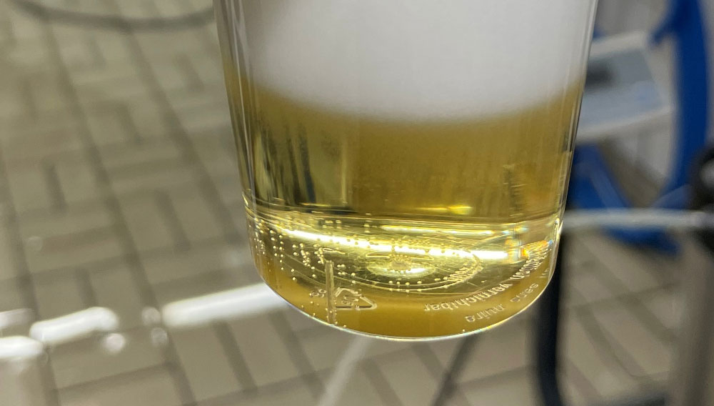 A plastic cup filled with finely filtered beer