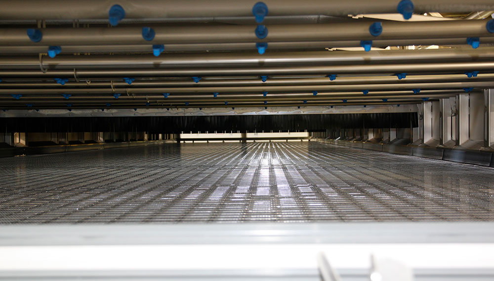 Studying the microflora in tunnel pasteurisers