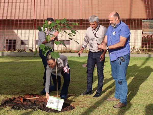 A tree was planted at the Petrópolis brewery in Uberaba as a symbol of the bond between VLB and South America (Source: VLB)