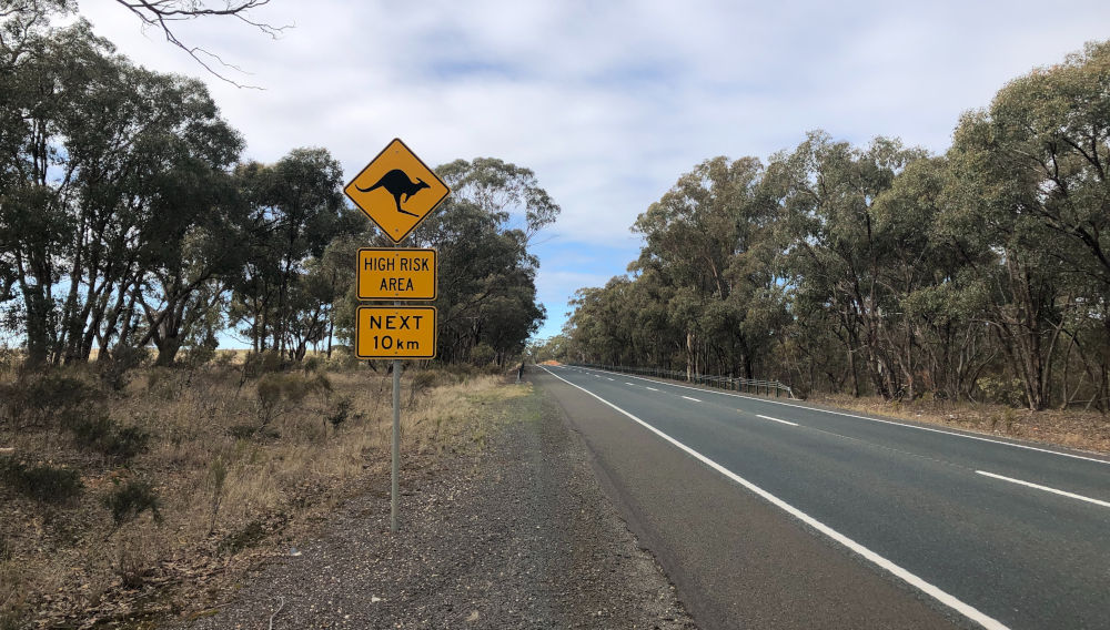 Traffic signs next to Australian road (Photo: Biljana Ristic on Unsplash)