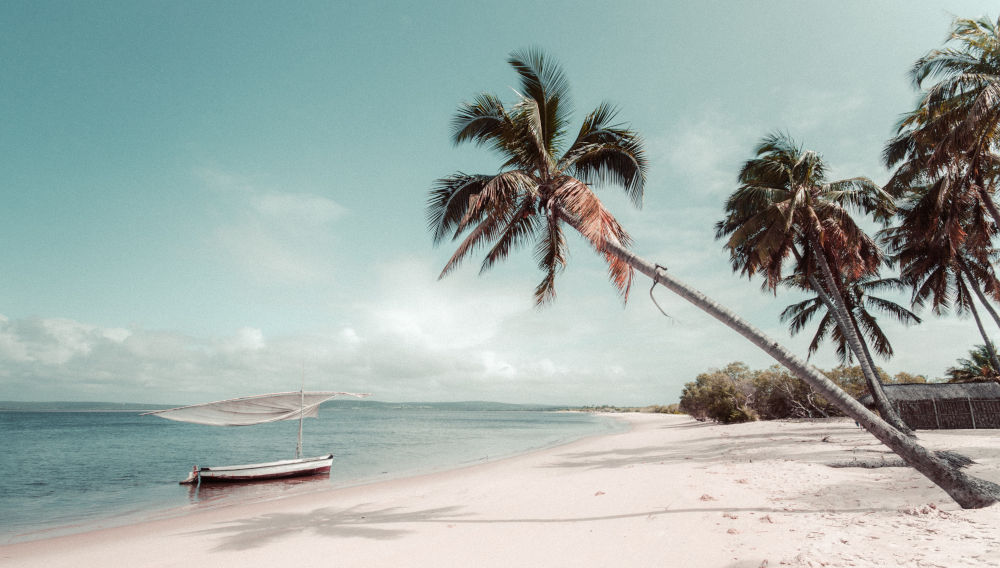 Mozambique (Photo by redcharlie on Unsplash)