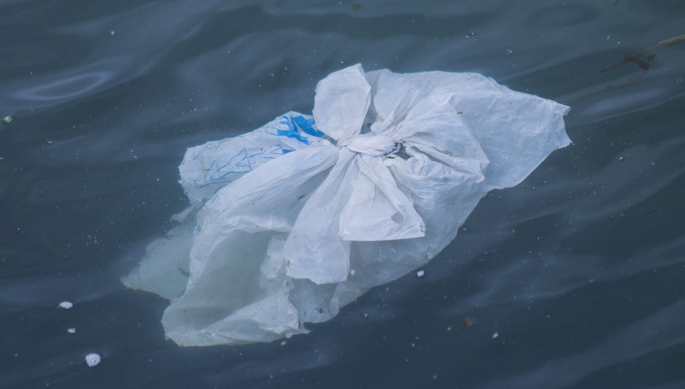 Garbage in the water (photo: Brian Yurasits on unsplash)