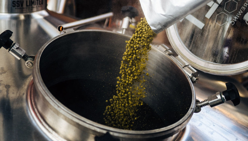 Huell Classic: Die Zukunft des deutschen Edelhopfens – Teil 3