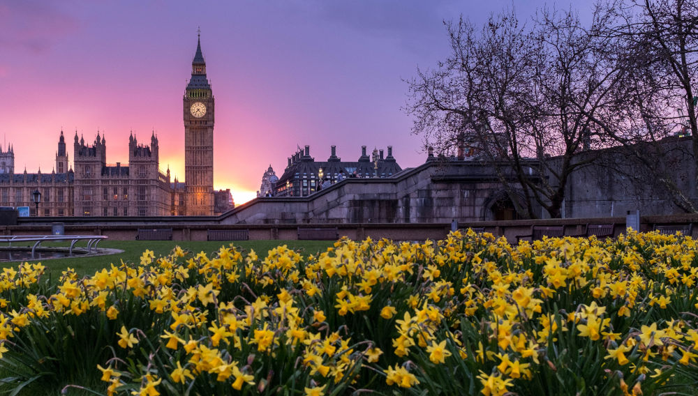 Westminster silhouette with yellow flowers in the front (Photo by Ming Jun Tan on Unsplash)