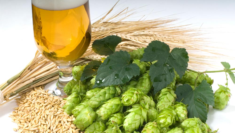 What effect does temperature have on aroma extraction during dry hopping?