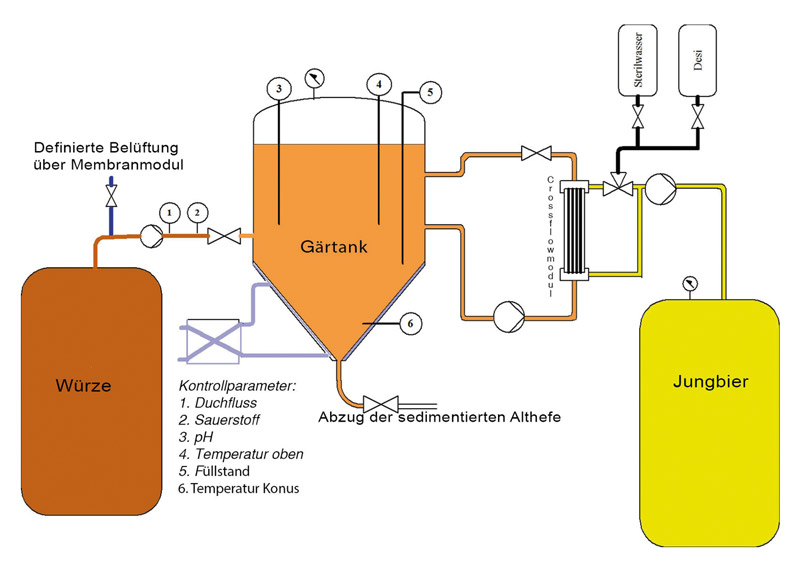 Anlagenprinzip der kontinuierlichen Fermentation mit Crossflow-Filtrationstechnologie