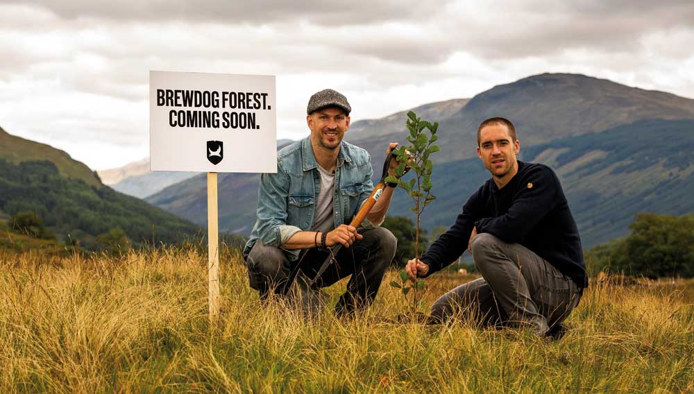 BrewDog investiert bis August 2020 über 33 Mio EUR in grüne Infrastruktur und forstet eine Fläche von 800 ha in Schottland mit Bäumen auf