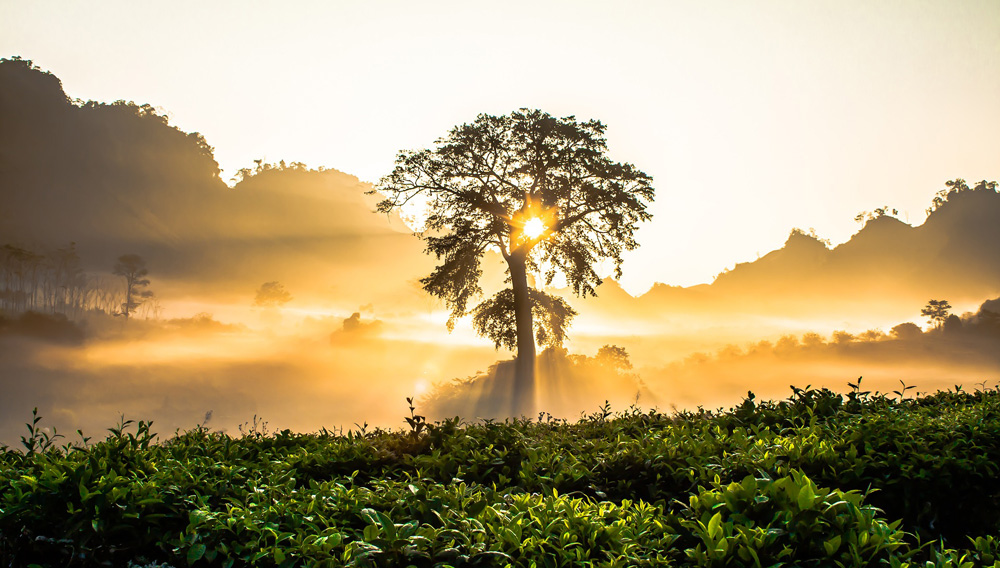 Sonnenaufgang Vietnam (Foto: Tien Vu, Pixabay)