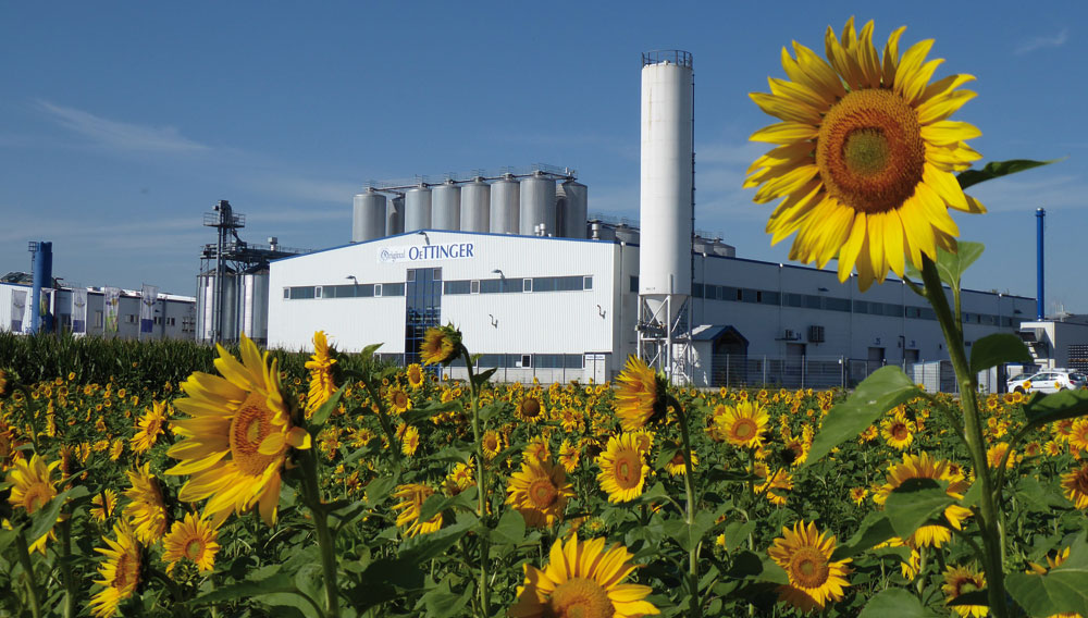 Brauereigebäude von Oettinger hinter einem Sonnenblumenfeld (Foto: Oettinger)