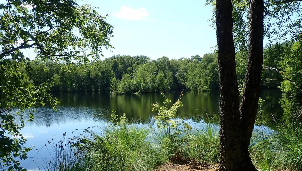 Seeblick Großes Moor bei Darze