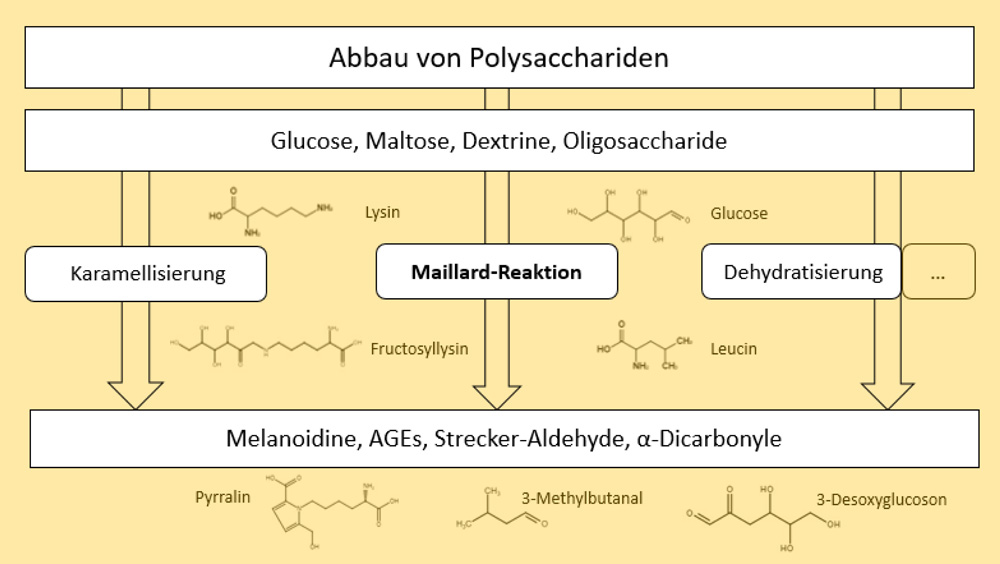 Schematische Darstellung verschiedener Reaktionswege des nicht-enzymatischen Polysaccharidabbaus