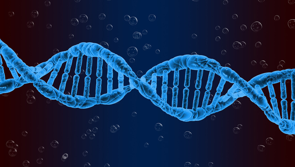 DNA – Doppelhelix (Foto: Pete Linforth auf Pixabay)