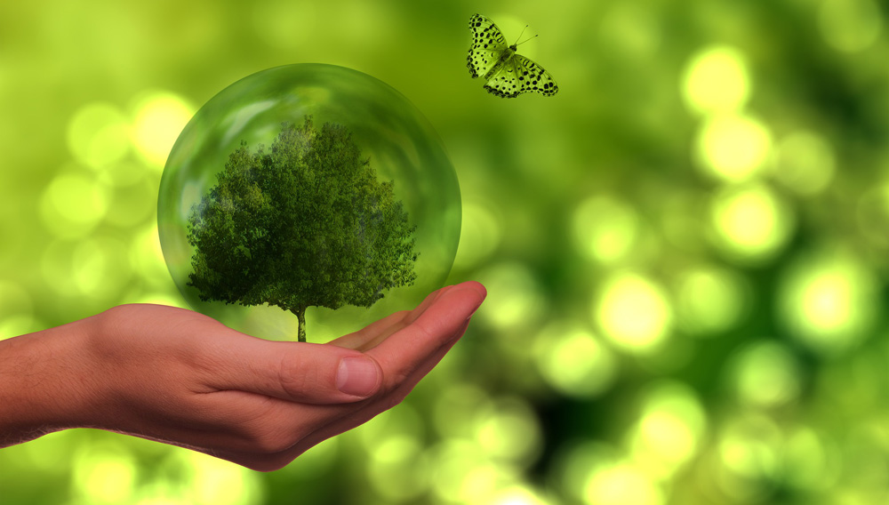 Grüne Komposition zum Thema Nachhaltigkeit: Hand hält Glaskugel mit Baum, Schmetterling (Gerd Altmann auf Pixabay)