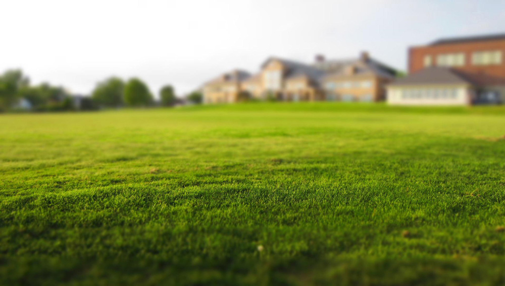 Rasenfläche im Vordergrund, Gebäudereihe im Hintergrund (Foto: Adrian Pelletier auf Pixabay)