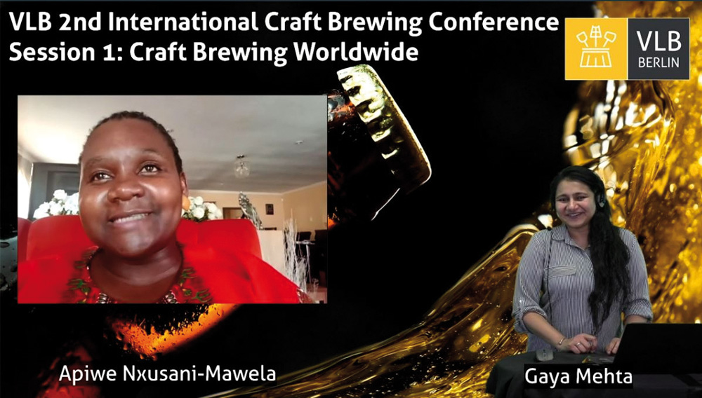Bildschirmfoto der Q&A-Session mit Apiwe Nxusani-Mawela