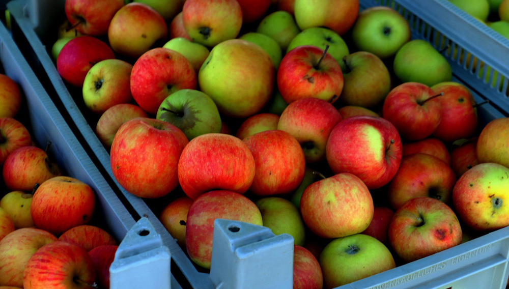 Äpfel in Kisten (Foto: moritz320 auf Pixabay)