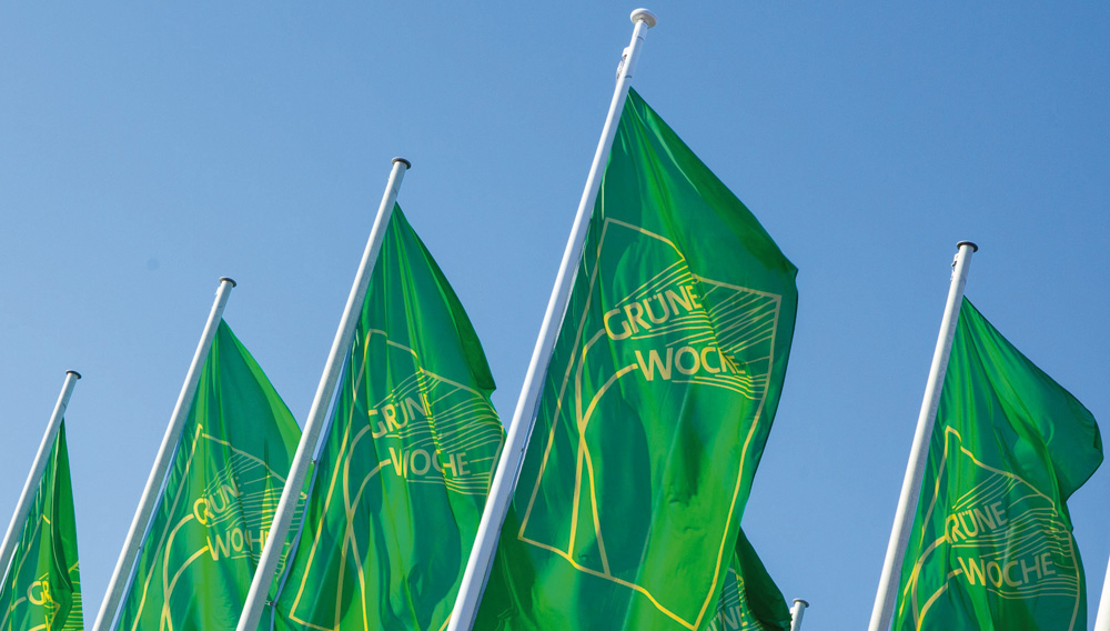 Fahnen mit dem Logo der Internationalen Grünen Woche Berlin (Foto: Messe Berlin GmbH)