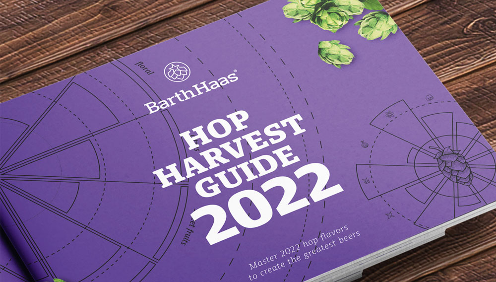 Hop Harvest Guide 2022
