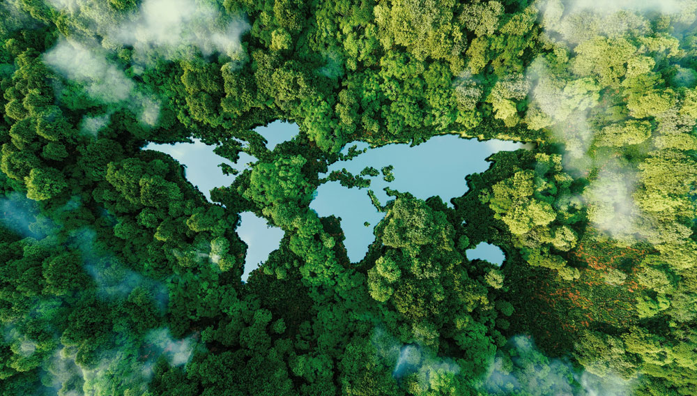 Stilisierte Weltkarte in Form eines Regenwaldes