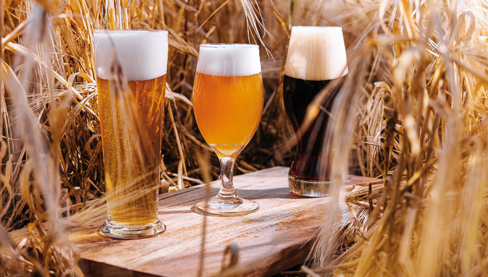 Drei Gläser mit verschiedenen Bieren in einem Feld