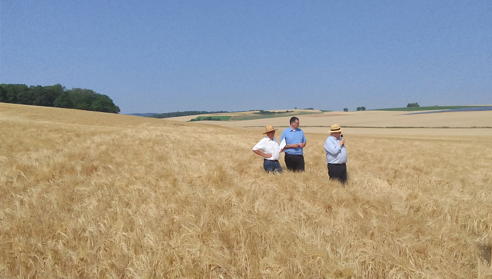 Drei Menschen stehen in einem Getreidefeld (Foto: Dr. Stefan Hör)