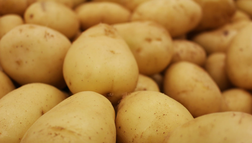 Ein Haufen Kartoffeln (Foto: Daniel Dan auf Unsplash)