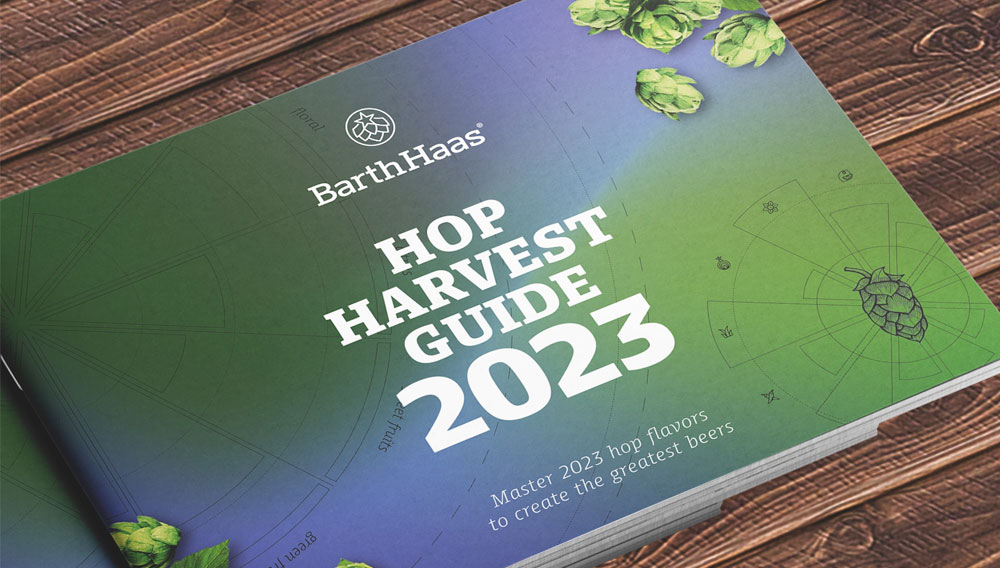 Hop Harvest Guide 2023