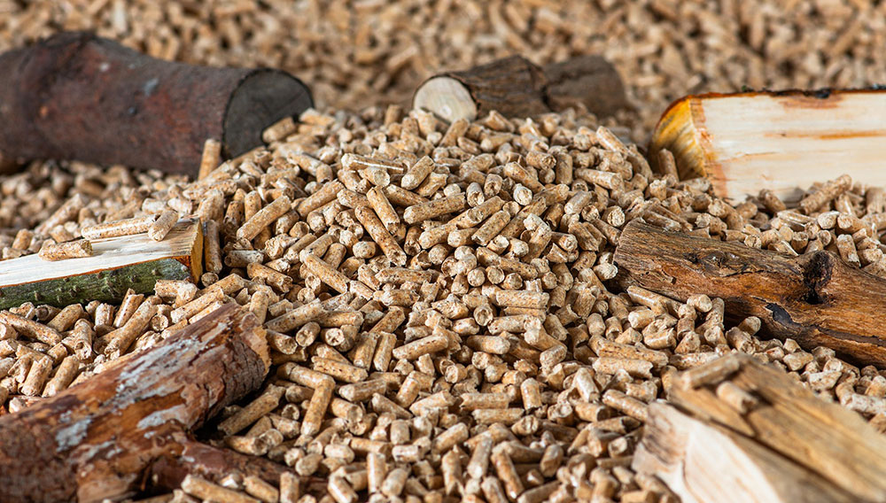 Biomasse als grüne Alternative zum Gas