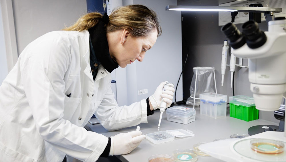 Eine Frau führt im Labor mikrobiologische Analysen durch (Foto: Tom Freudenberg/TUM FZWBLQ)