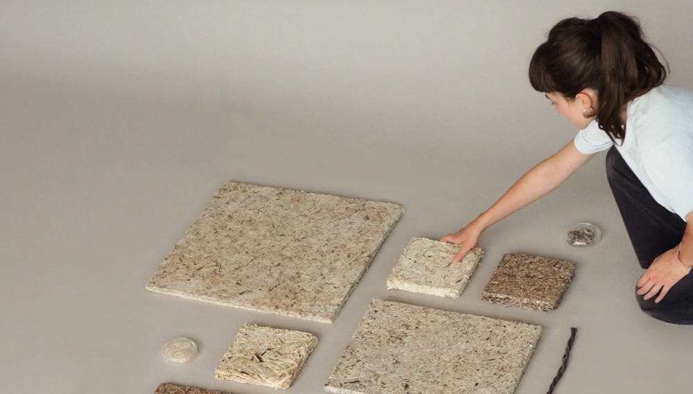 Baumaterialien aus Hopfenresten