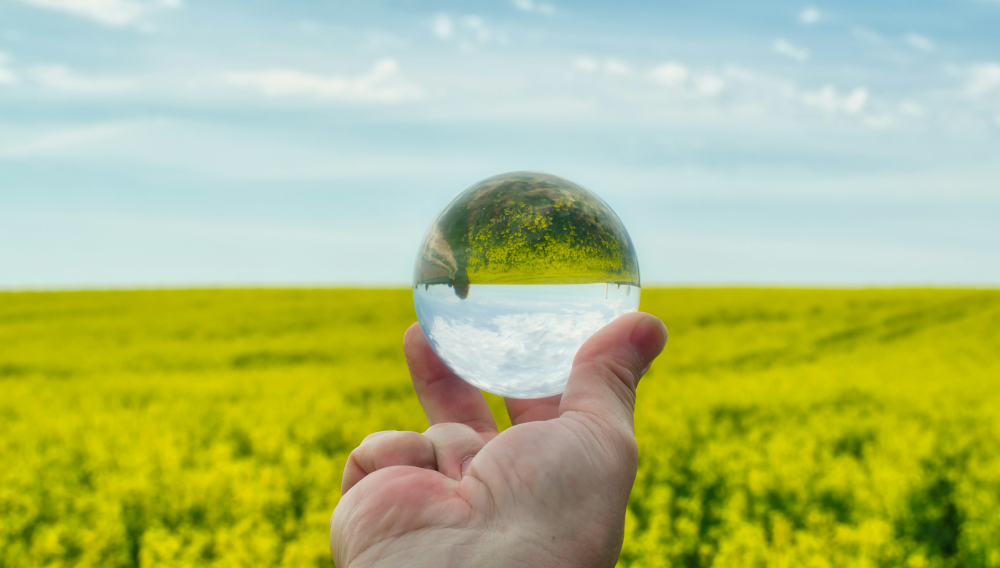 Regeneratives Wirtschaften in der Prozessindustrie