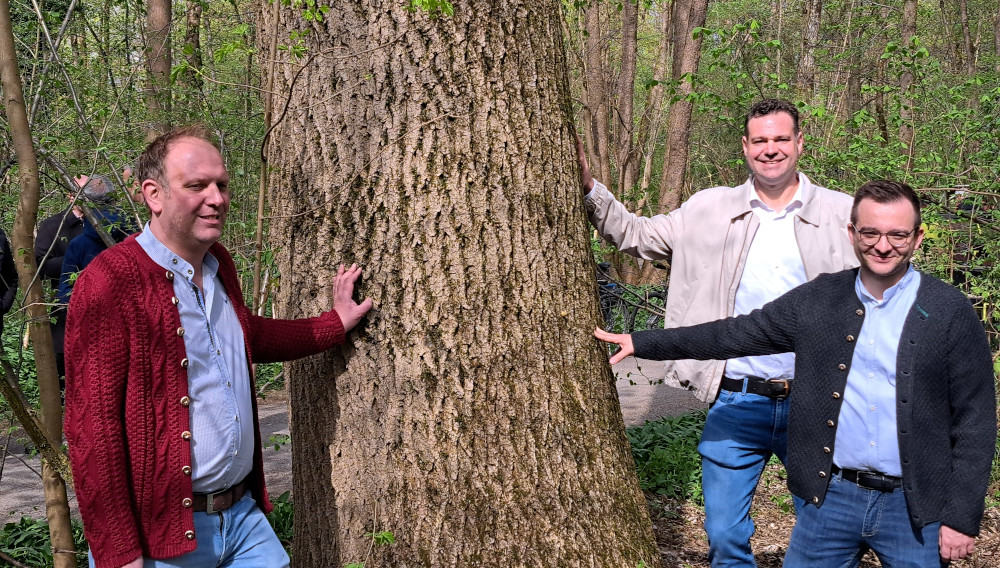 Drei Personen stehen an einer Esche in den Münchner Isarauen
