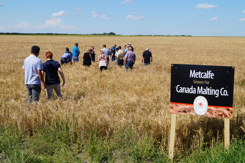 RMI Analytics malting barley crop tour in Canada