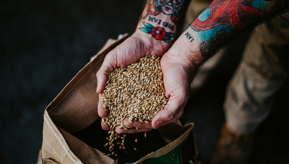 Zwei Hände halten Malz über einem Malzsack (Foto: Ryan Cuerden auf Unsplash)