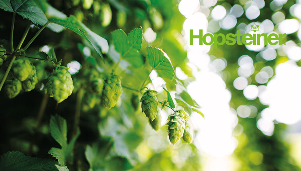 Hop crop 2020